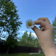 Алиса ромашка🌸