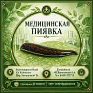 Медицинская пиявка  Биофабрика