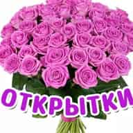 Поздравления и открытки