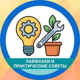 Лайфхаки Полезные советы