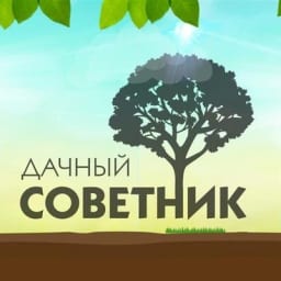 Дачный советник