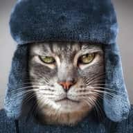 Кошкин Сибиряк
