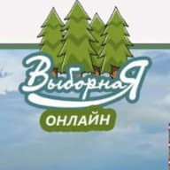 Выборная online (Новосибирск)