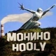 Типичное МОНИНО™