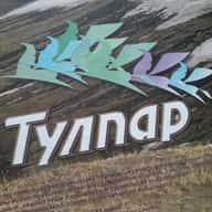 Тулпар журналы каналы