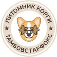 Корги