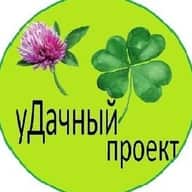 уДачный проект