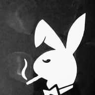 Bald Rabbit
