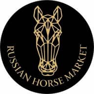 RUSSIAN HORSE MARKET